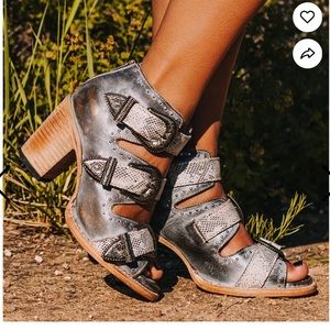 Freebird by Steven Violet